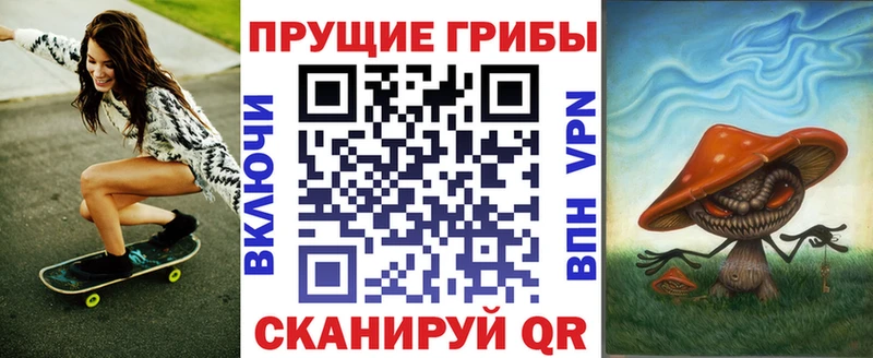 Купить где  Осинники  Галлюциногенные грибы Psilocybe 